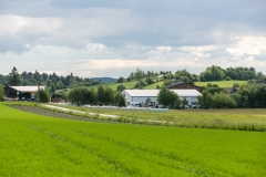 Habruck-15