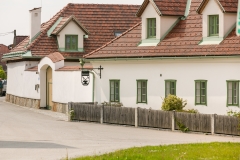 Noehagen-18