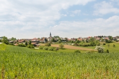 Weinzierl-01