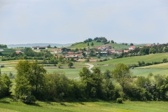 Weinzierl-05