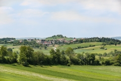Weinzierl-06