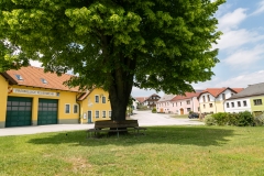 Weinzierl-12