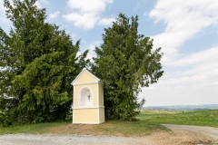 Weinzierl-33